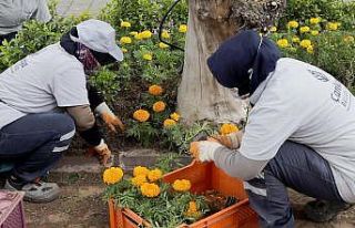 Baharın renkleri Başkent’te açıyor