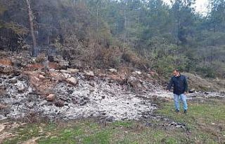 Bahçe temizliği sonrası yakılan ateş hem ormanı...