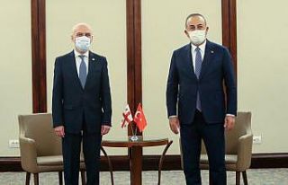 Bakan Çavuşoğlu, Gürcistan Dışişleri Bakanı...