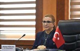 Bakan Pekcan, KKTC Maliye Bakanı Oğuz ile bir araya...