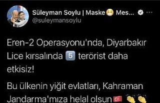 Bakan Soylu açıkladı, Lice kırsalında 5 terörist...