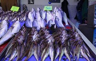 Balık av sezonunda sona doğru