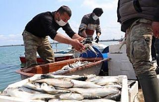 Balık sezonuna iklim değişikliği etkisi