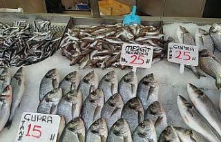 Balıkçılar erken paydos etti