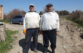 Balıkesir’de bal para yapınca arıların önüne...