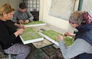Balıkesir’de sokağa çıkma sınırlaması üretime...