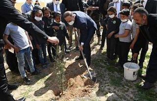 Barış Pınarı bölgesinde yüzler gülüyor