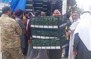 Barış Pınarı bölgesindeki çiftçilere destek