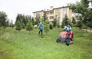 Başiskele’de saha çalışmaları yapılacak