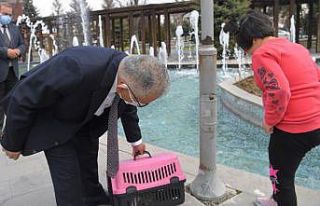 Başkan Büyükkılıç’tan otizmli Ayşe Nisa’ya...