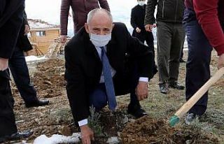 Başkan Öztürk polislerle birlikte ağaç dikti