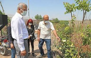 Başkan Tarhan, Gönüllü Serasında gönüllü üreticilerle...