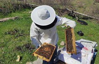 Batman’da çiçeklerin açmasıyla arıcıların...