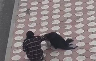 Batman’da üşüyen köpeğin üzerine montunu örttü