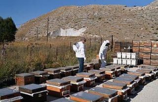 “Bayburt Üniversitesi Arıcılık AR-GE Merkezi...
