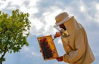 Bayburt’ta çiçeklerin açmasıyla arıcıların...