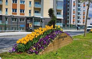 Bayrampaşa’da lale şöleni