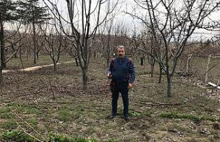 BBP Genel Başkanı Destici ağaç budadı