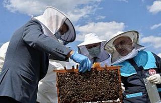 Bilecik balı için harekete geçildi