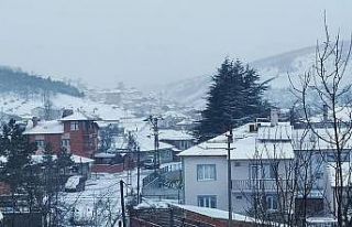 Bilecik’te nisan ayında kar yağışı şaşkınlık...