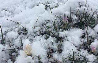 Bingöl Karlıova’da Nisan ayında kar yağışı