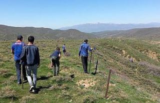 Bingöl’de kayıp yaşlı adamı arama çalışmaları...