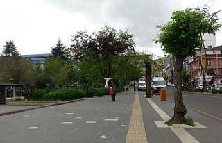 Bingöl’de kısıtlama sessizliği