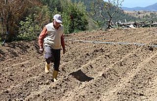 Bir sondaj kuyusu 6 kaynağı kuruttu