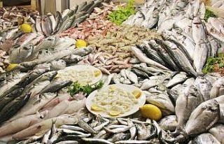 Birleşmiş Milletler 2022 yılını Balıkçılık...