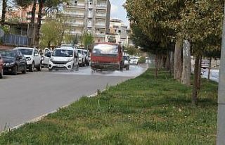 Bismil’de yaz mevsimi öncesi ilaçlama mesaisi...