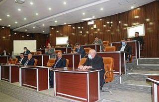 Bitlis İl Genel Meclisinden amirallerin bildirisine...