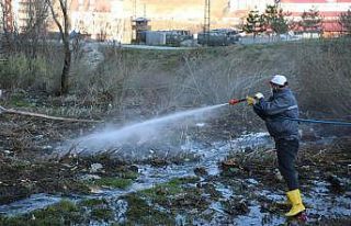 Bitlis’te ilaçlama çalışmaları devam ediyor