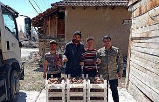 Biyolojik mücadele için Korkuteli’de patates yetiştirilecek