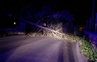 Bodrum’da etkili olan fırtına hayatı olumsuz...