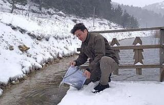 Bolu’da göllere 620 bin alabalık yavrusu bırakıldı