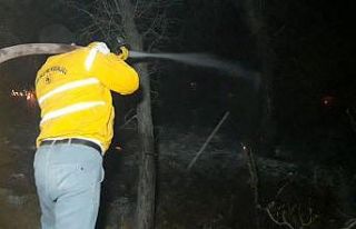 Bozdoğan’daki orman yangınında 2 hektarlık alan...