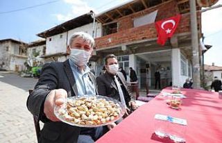 Bozuk ormanlık alanlar ‘yeşil altın’a dönüyor
