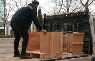 Bozuk para kasaları onlar için kulübeye dönüşüyor