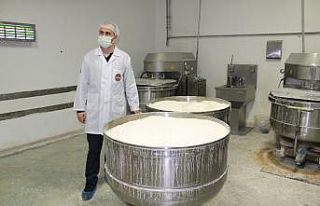 Bu pidenin hem şekli hem fiyatı farklı