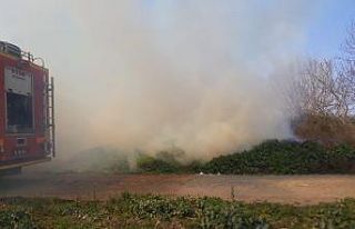 Burhaniye’de arazi yangını