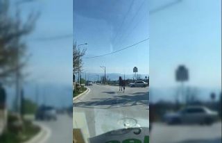Bursa trafiğinde dört nala koştu