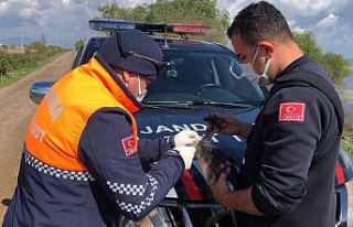 Bursa’da ağlara takılan kuş kurtarıldı