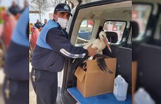Bursa’da duyarlı çiftçi kanadı kırık leyleği...