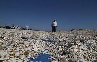 Büyükkılıç’ın tarıma verdiği önem rakamlara...