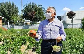 Büyükşehir, 2021’de tarım ve hayvancılığa...