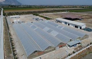Büyükşehir, 250 bin metrekare peyzaj çalışması...