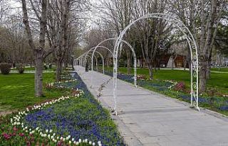 Büyükşehir ile rengarenk Kayseri