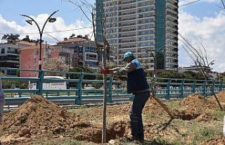 Büyükşehir’den Alaşehir’de 6 bin metrekarelik...