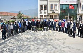 Büyükşehirden Çiftçiye fidan desteği