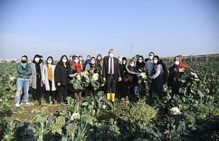 Büyükşehir’den tarımsal kalkınmaya destek